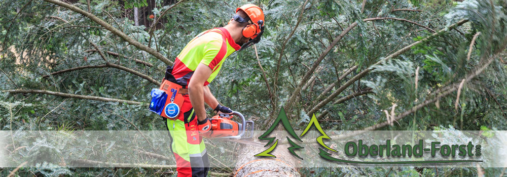 header_forstbereich_10