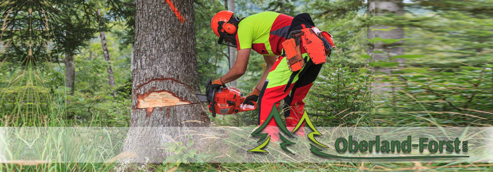 header_startseite_10