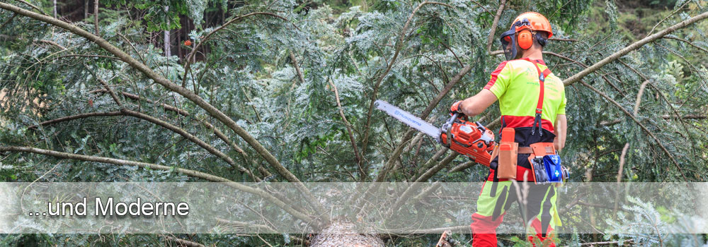 header_startseite_13